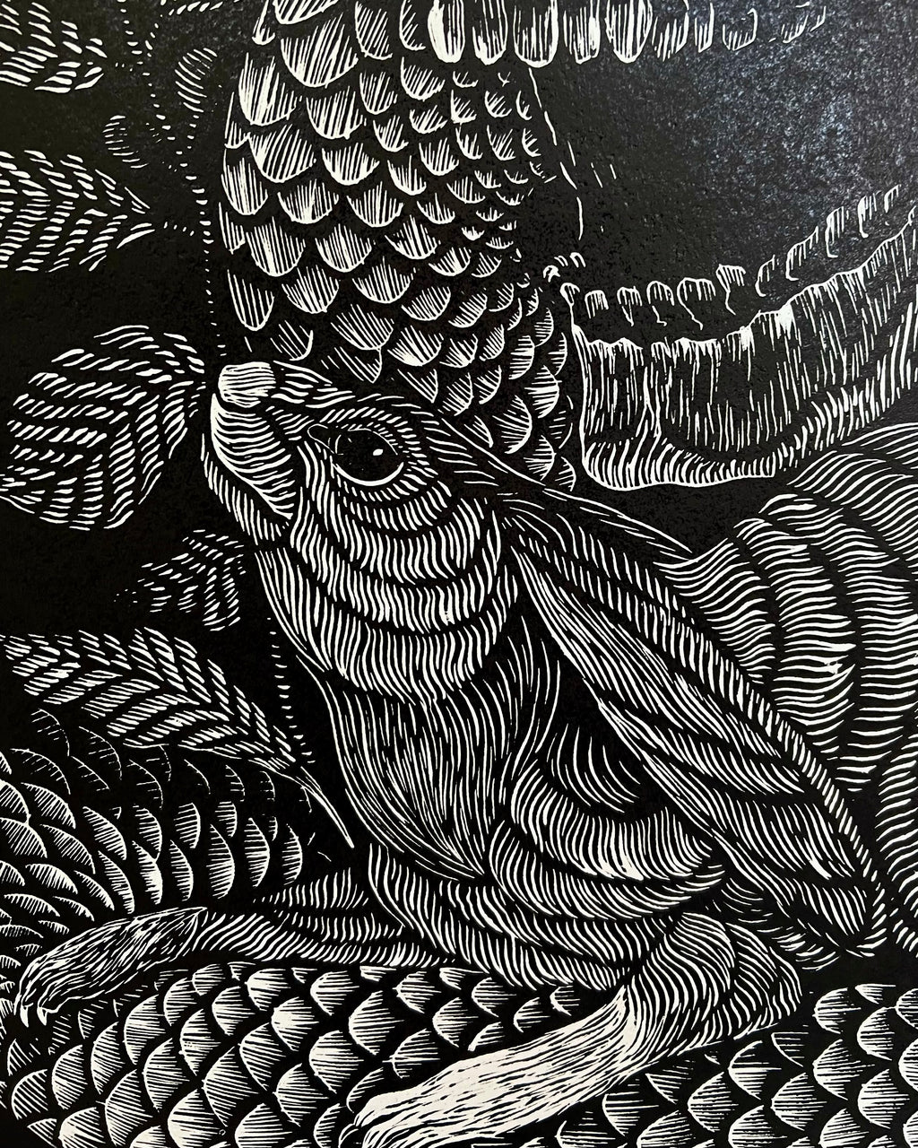 “Polinizacion” by Leon Arrazola- Grabado- Woodcut Printmaking 3/30