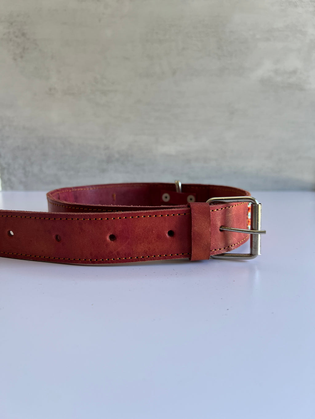 Leather Dog Collar with Embroidered Details