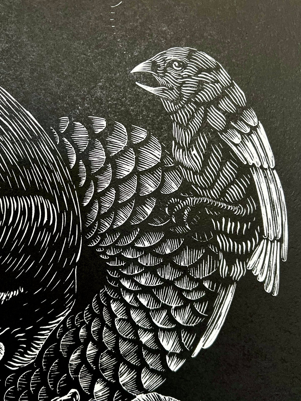 “Polinizacion” by Leon Arrazola- Grabado- Woodcut Printmaking 3/30