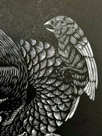 “Polinizacion” by Leon Arrazola- Grabado- Woodcut Printmaking 3/30