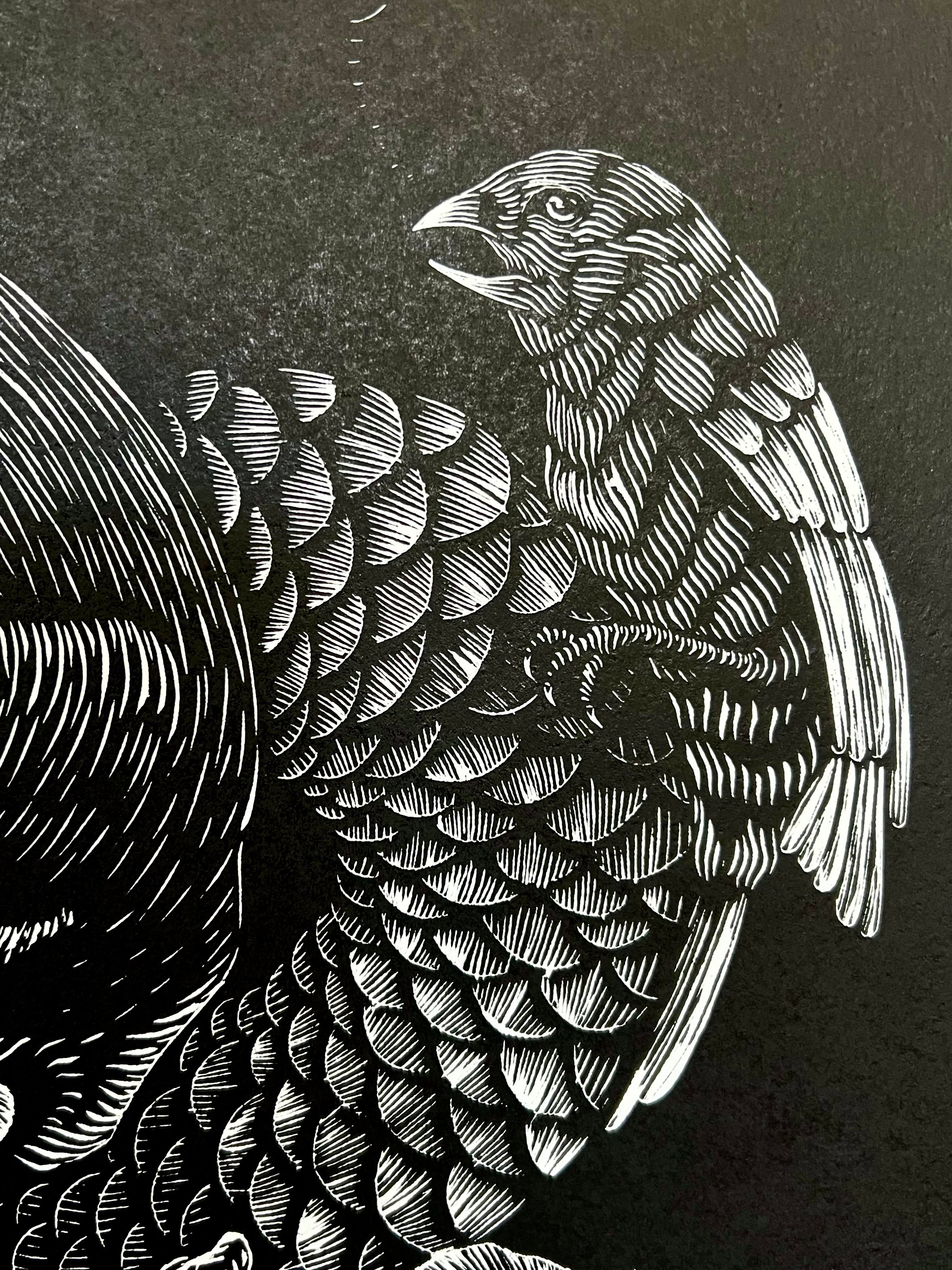 “Polinizacion” by Leon Arrazola- Grabado- Woodcut Printmaking 3/30