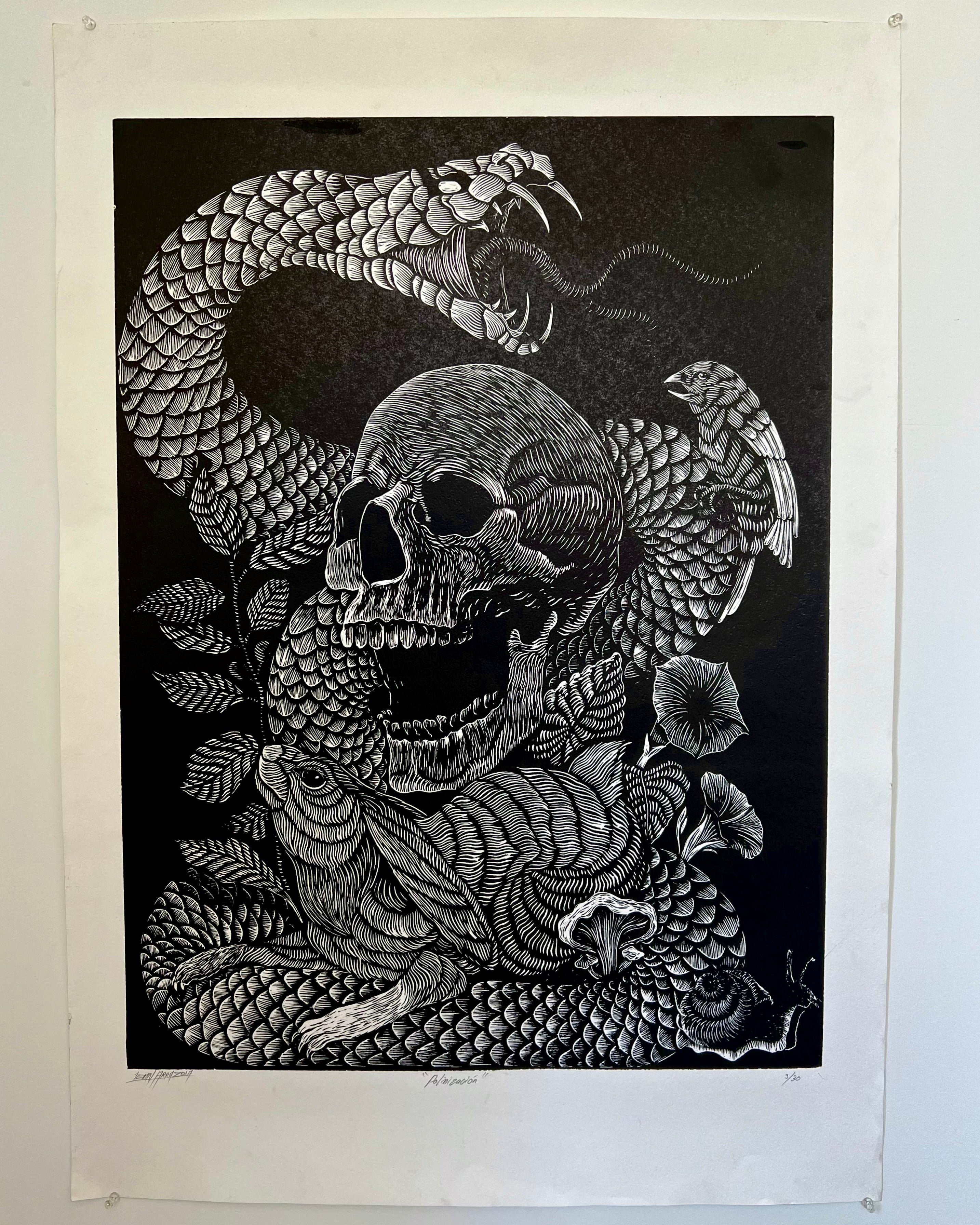 “Polinizacion” by Leon Arrazola- Grabado- Woodcut Printmaking 3/30