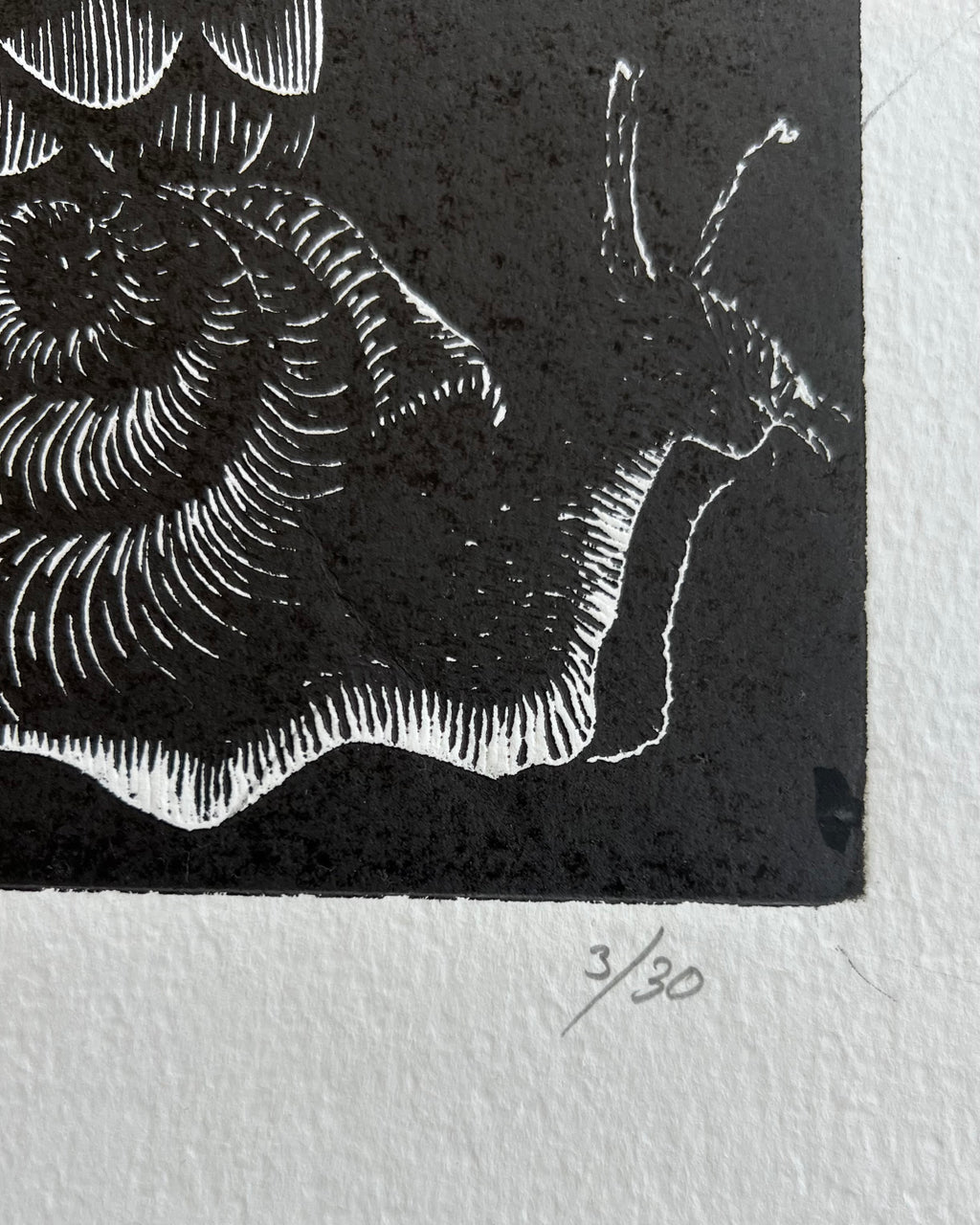 “Polinizacion” by Leon Arrazola- Grabado- Woodcut Printmaking 3/30