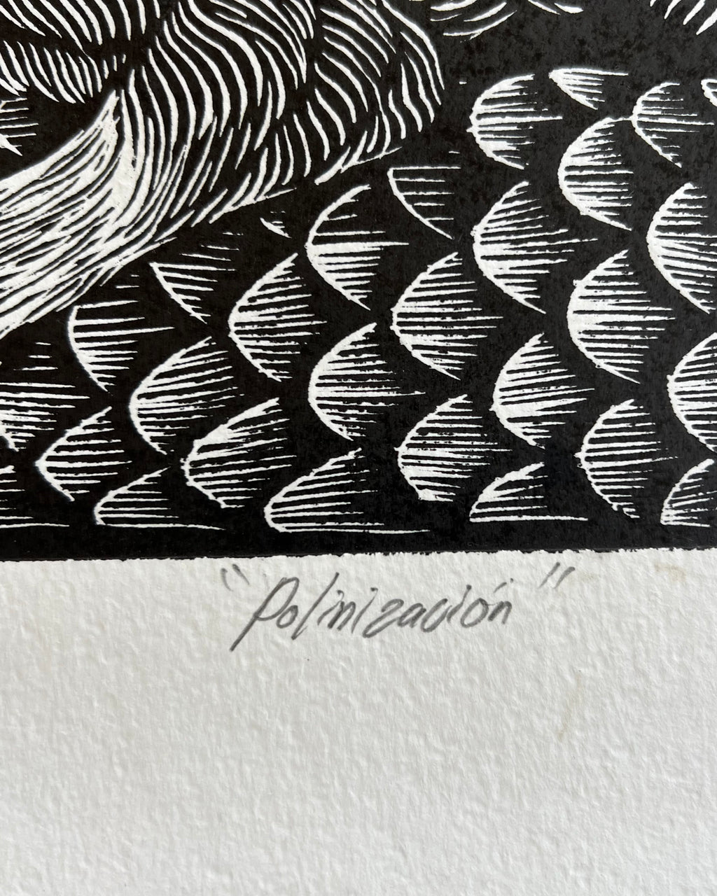 “Polinizacion” by Leon Arrazola- Grabado- Woodcut Printmaking 3/30